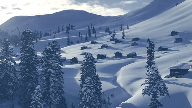 ليه نوي دو بلانش نيچ