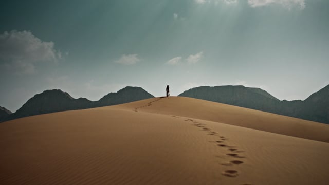 لو جيم X أسيل