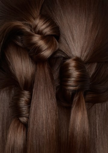 photography of long brown hair in styled knots